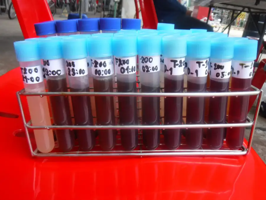 Decontamination and degassing work on process equipment at a petrochemical site (6 / 12)